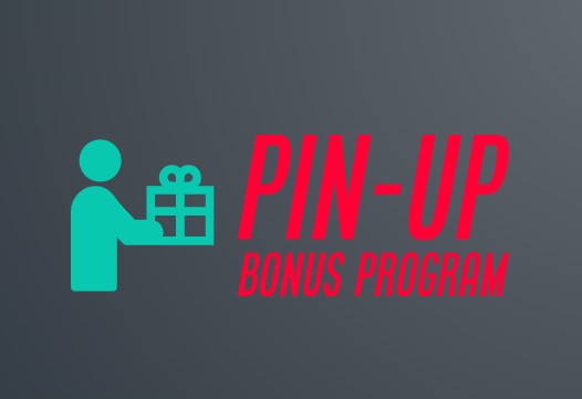 Bonus Program for Pin Up